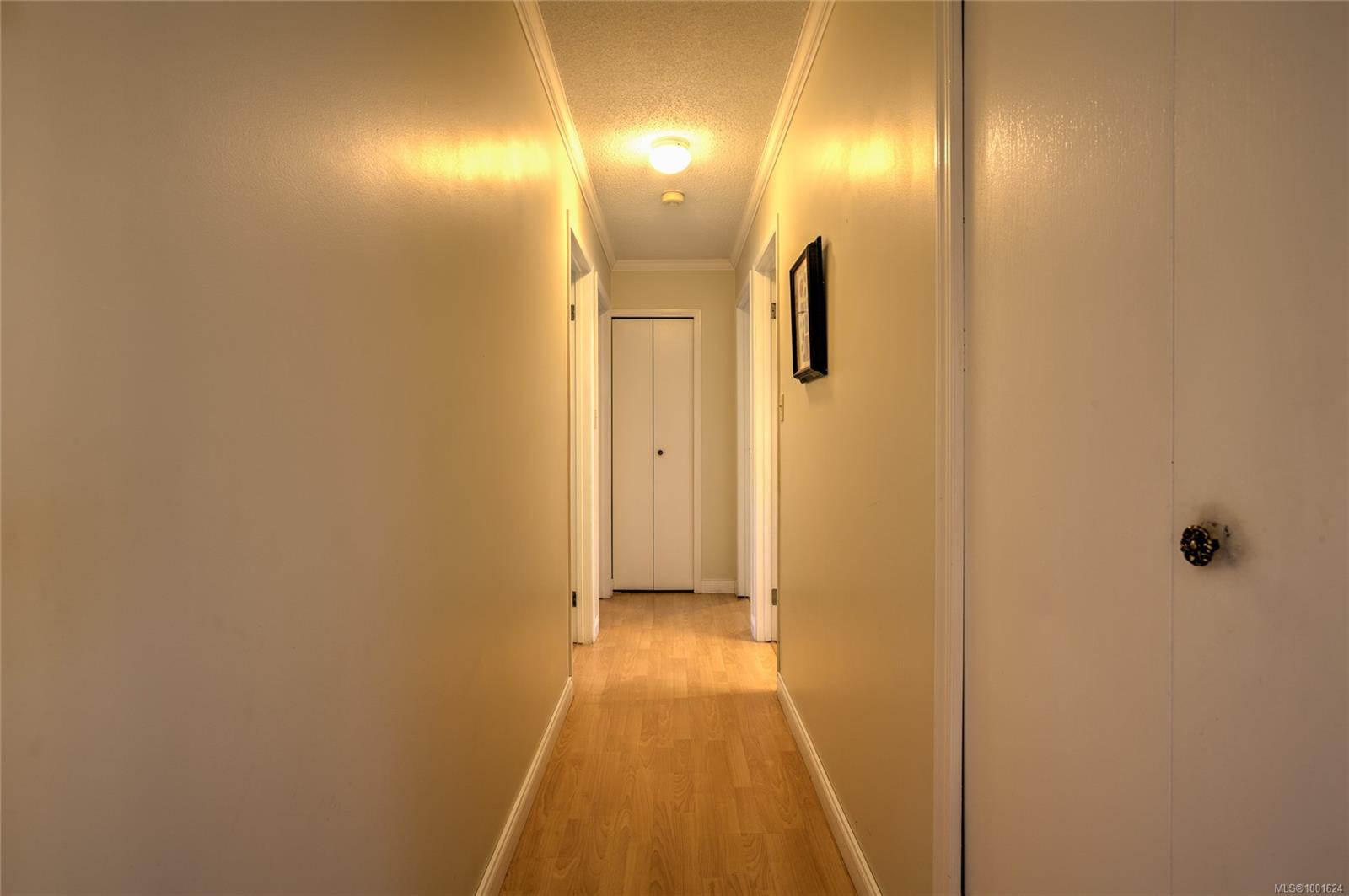 Real Estate