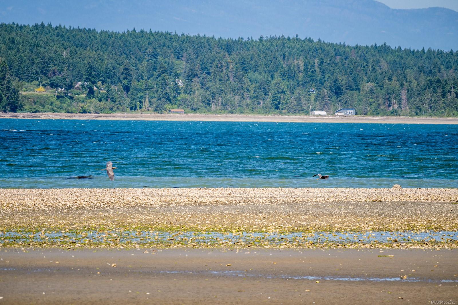 $899,000 - 3845 Shingle Spit Rd<br>British Columbia, V0R 1Z0
