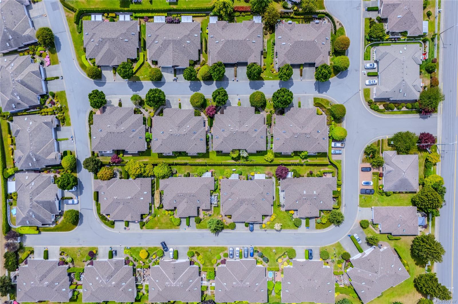 Real Estate