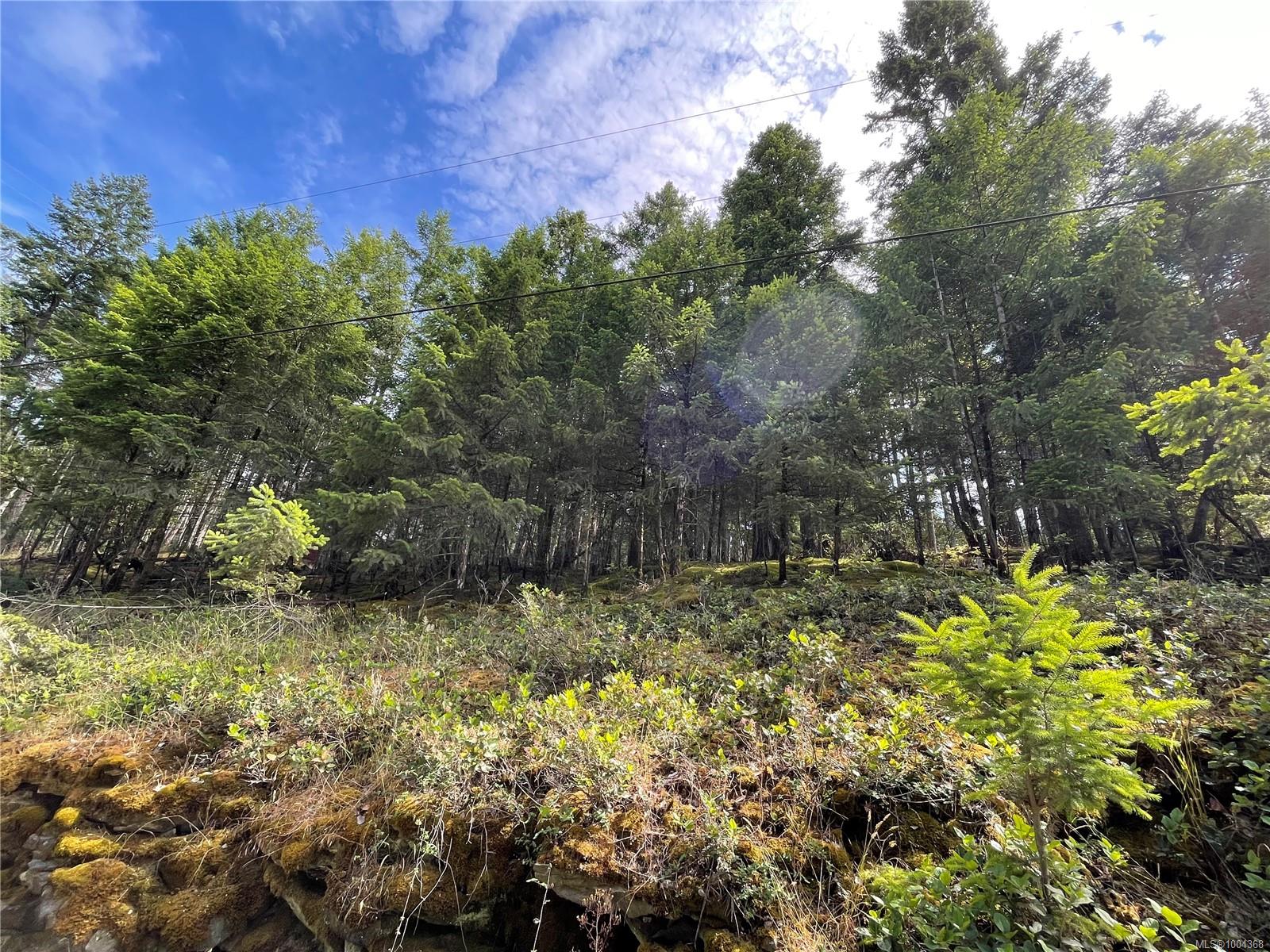 $125,000 - LOT 141 Coho Blvd<br>British Columbia, V1V 1V1