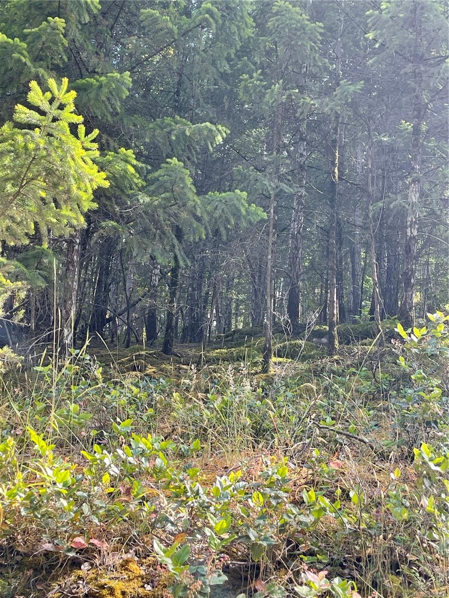 $125,000 - LOT 141 Coho Blvd<br>British Columbia, V1V 1V1