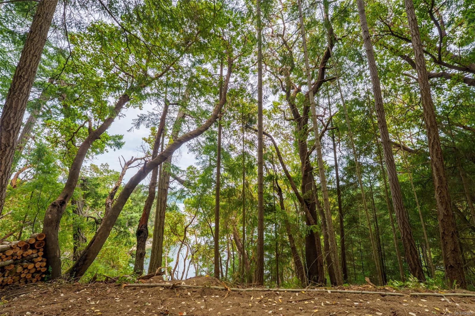 $285,000 - Lot 19 Ruxton Island<br>British Columbia, 000 000