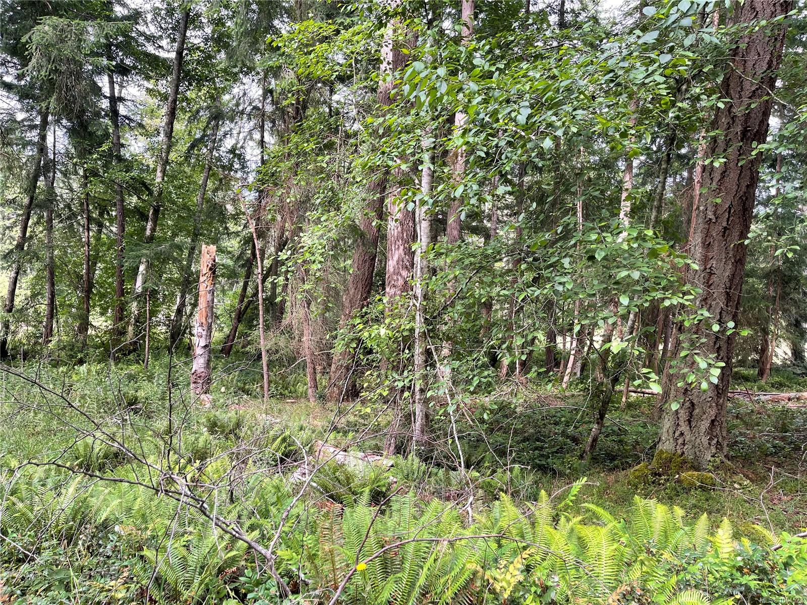 $275,000 - Lot 17 Apple Orchard Way<br>British Columbia, V1V 1V1