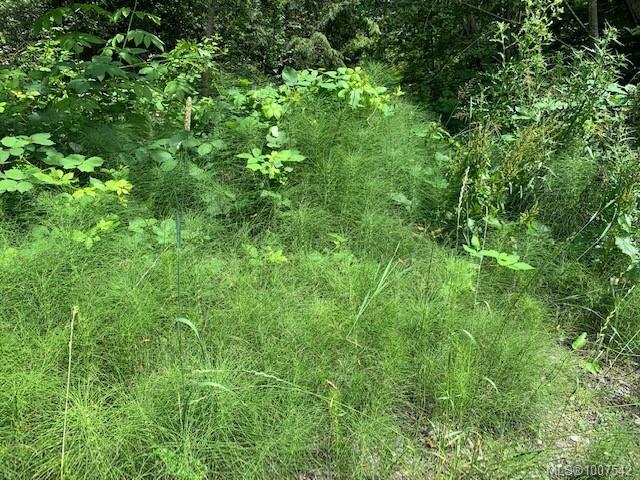 $199,000 - 167 River Rd<br>British Columbia, V0R 2G0