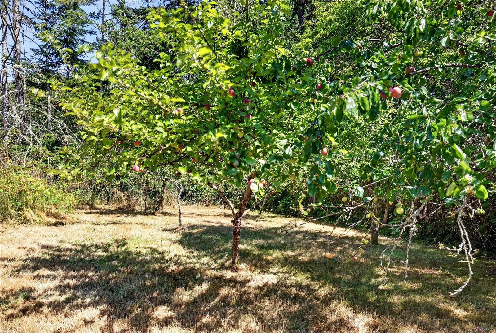 243 Maliview Dr — listing photo 7 of 45