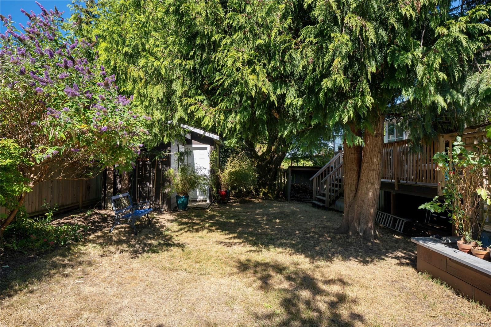 Photo 36