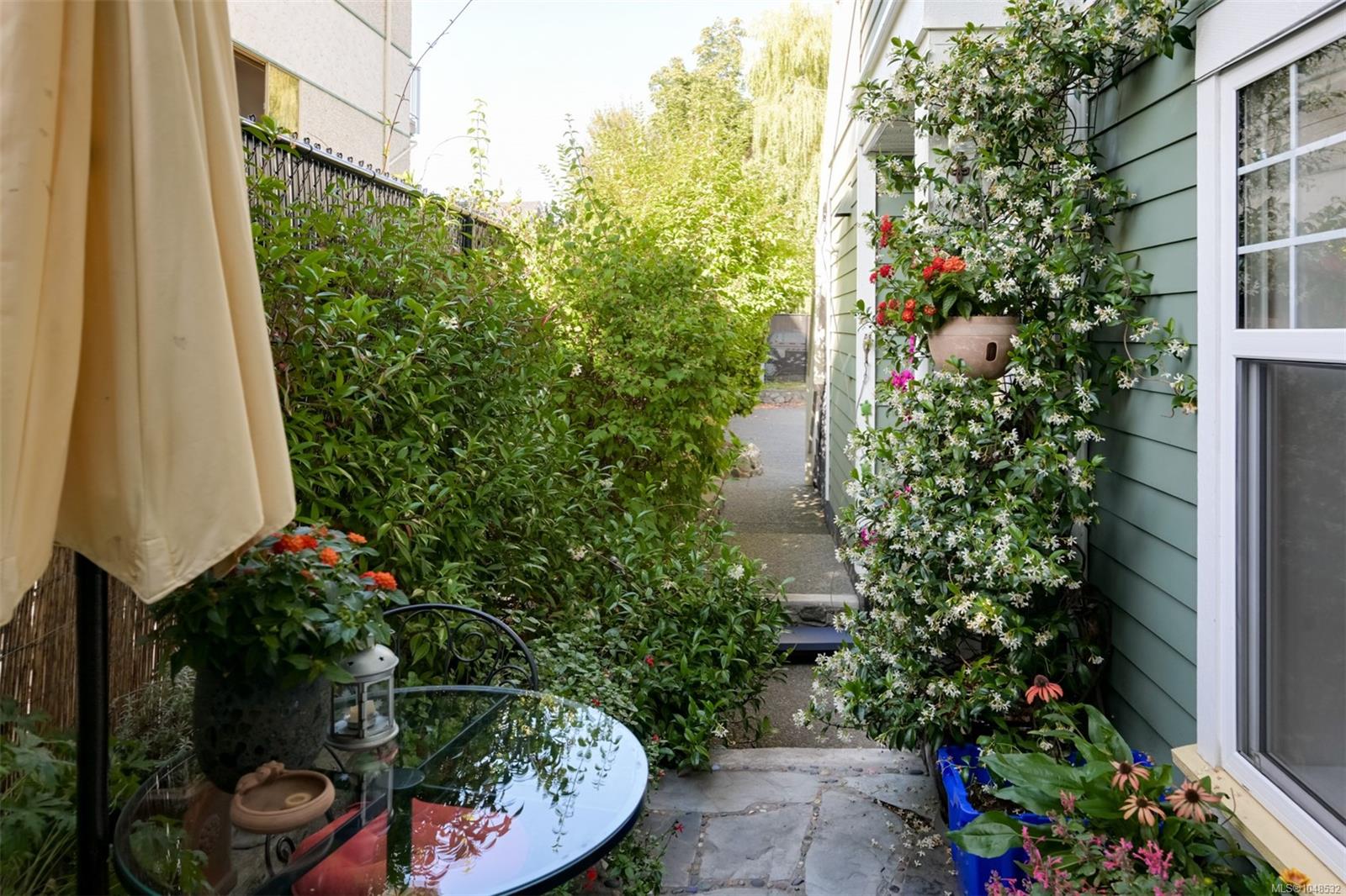 Photo 49