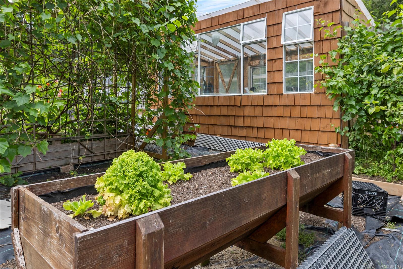 Photo 41