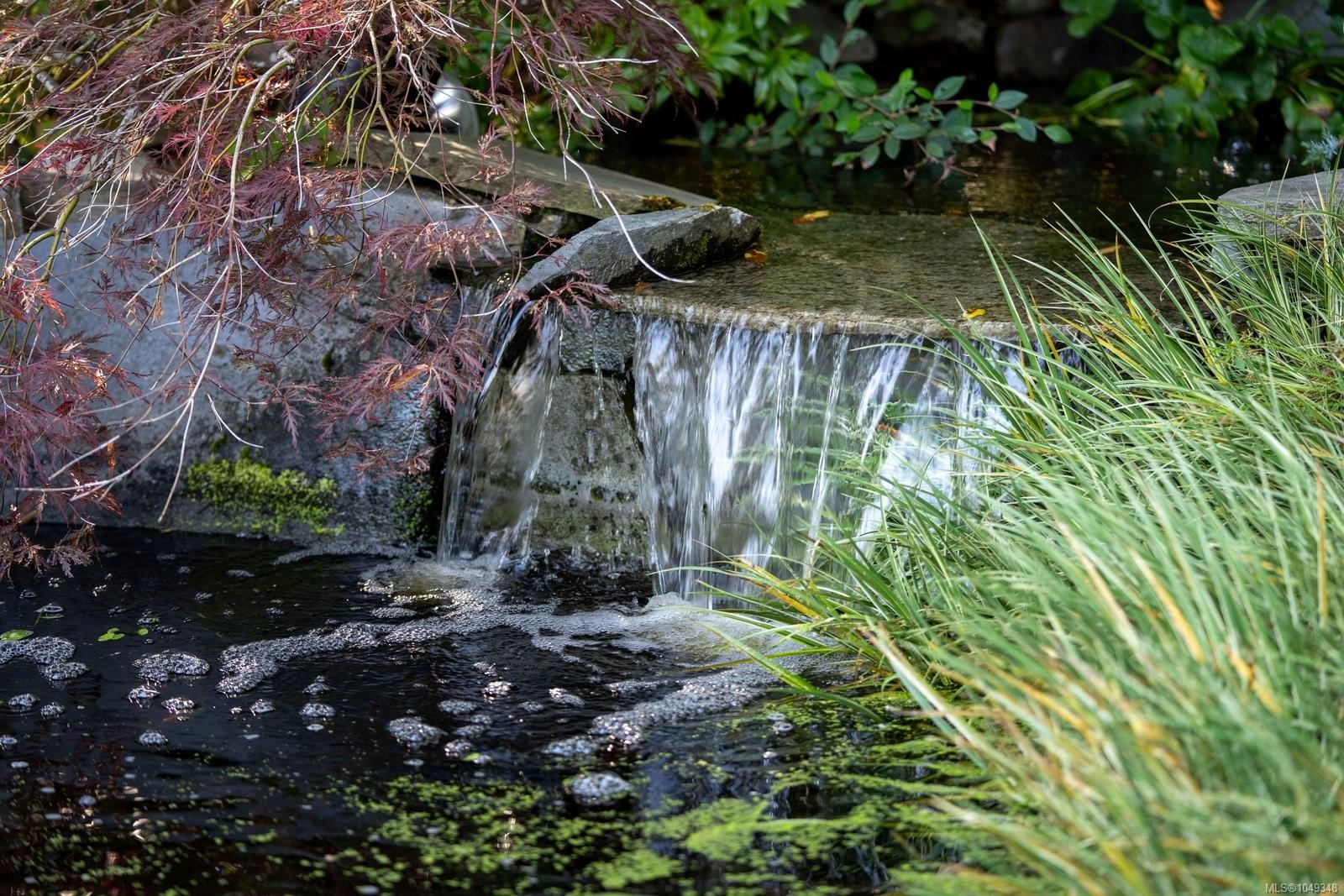 Photo 46