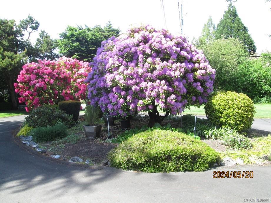 Photo 36