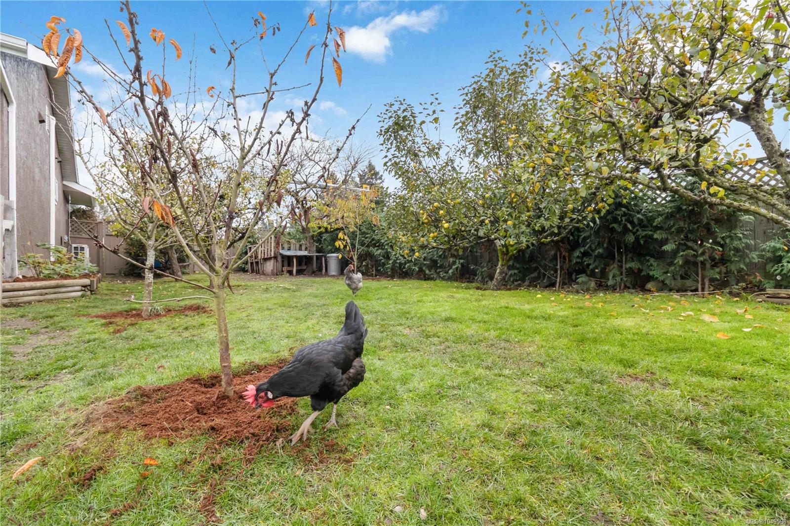 6756 Central Saanich Rd — listing photo 4 of 47