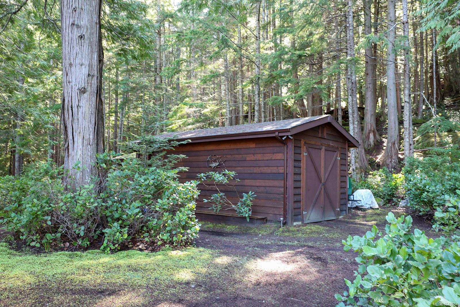 Photo 35