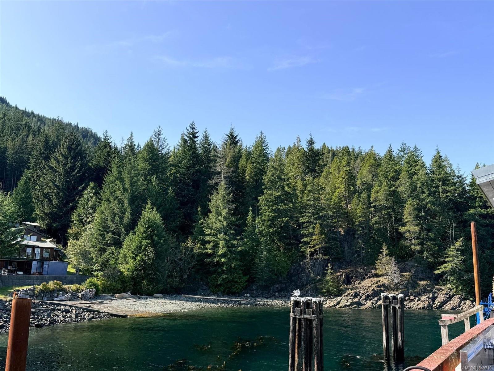 18 Sayward Rd photo 4