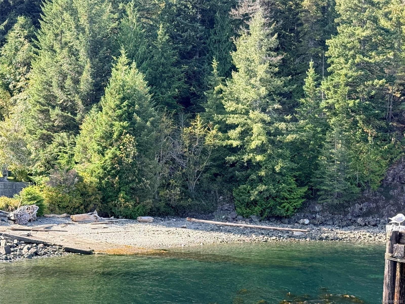 18 Sayward Rd photo 5