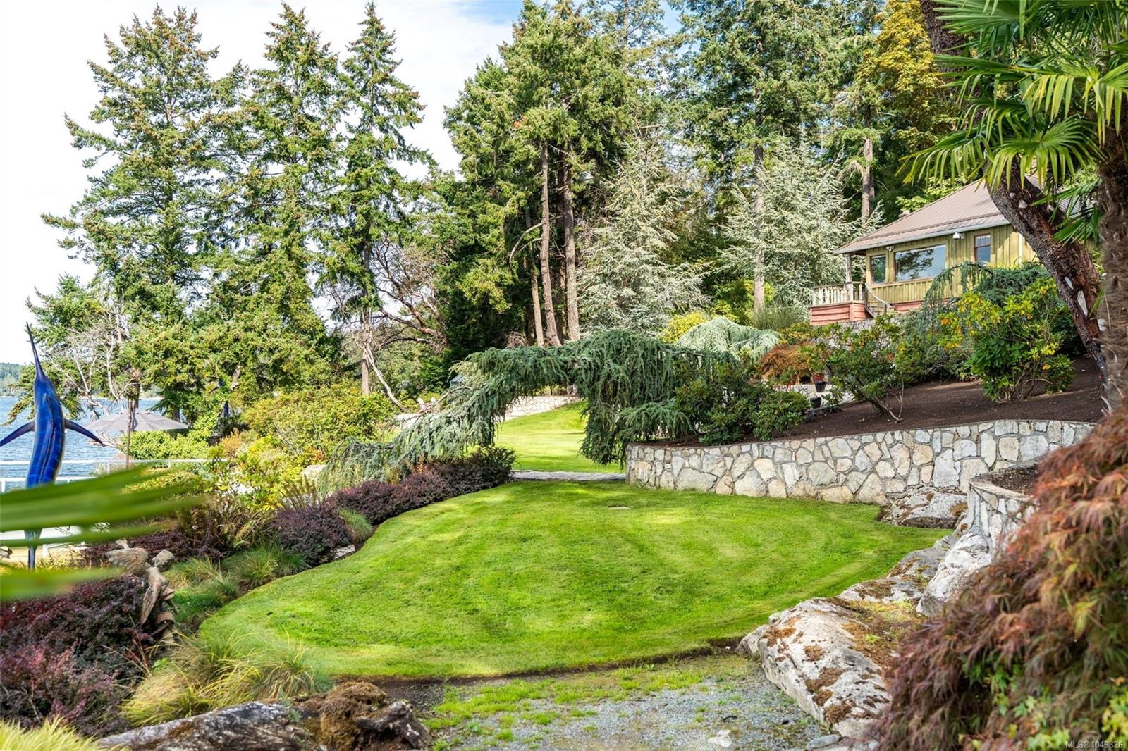 Photo 50