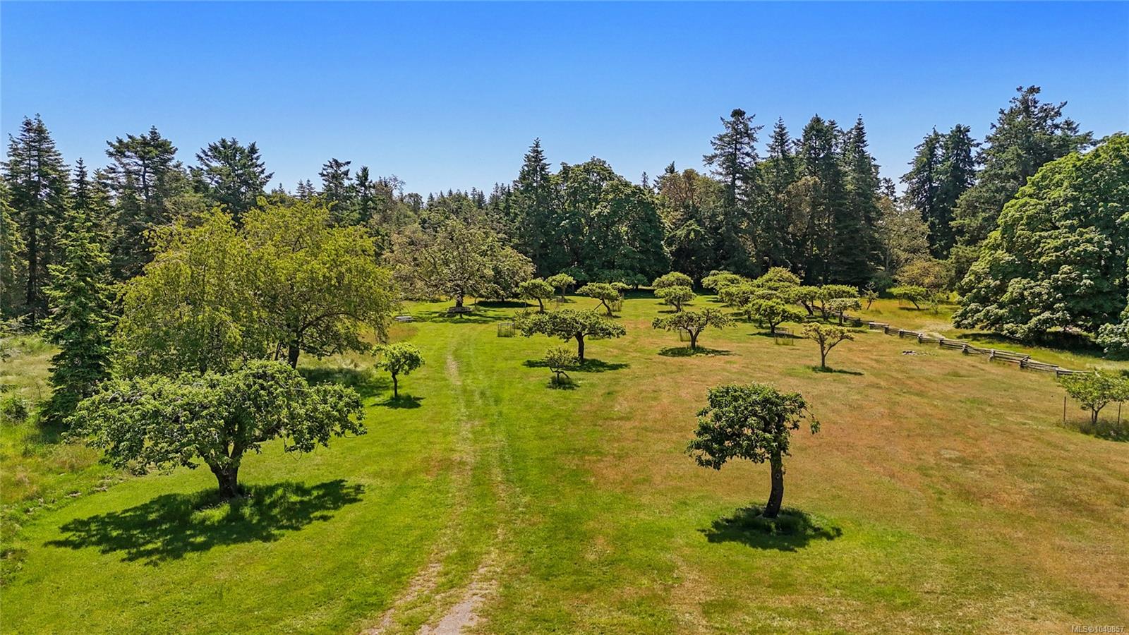 730 Treetops Spur — listing photo 8 of 45