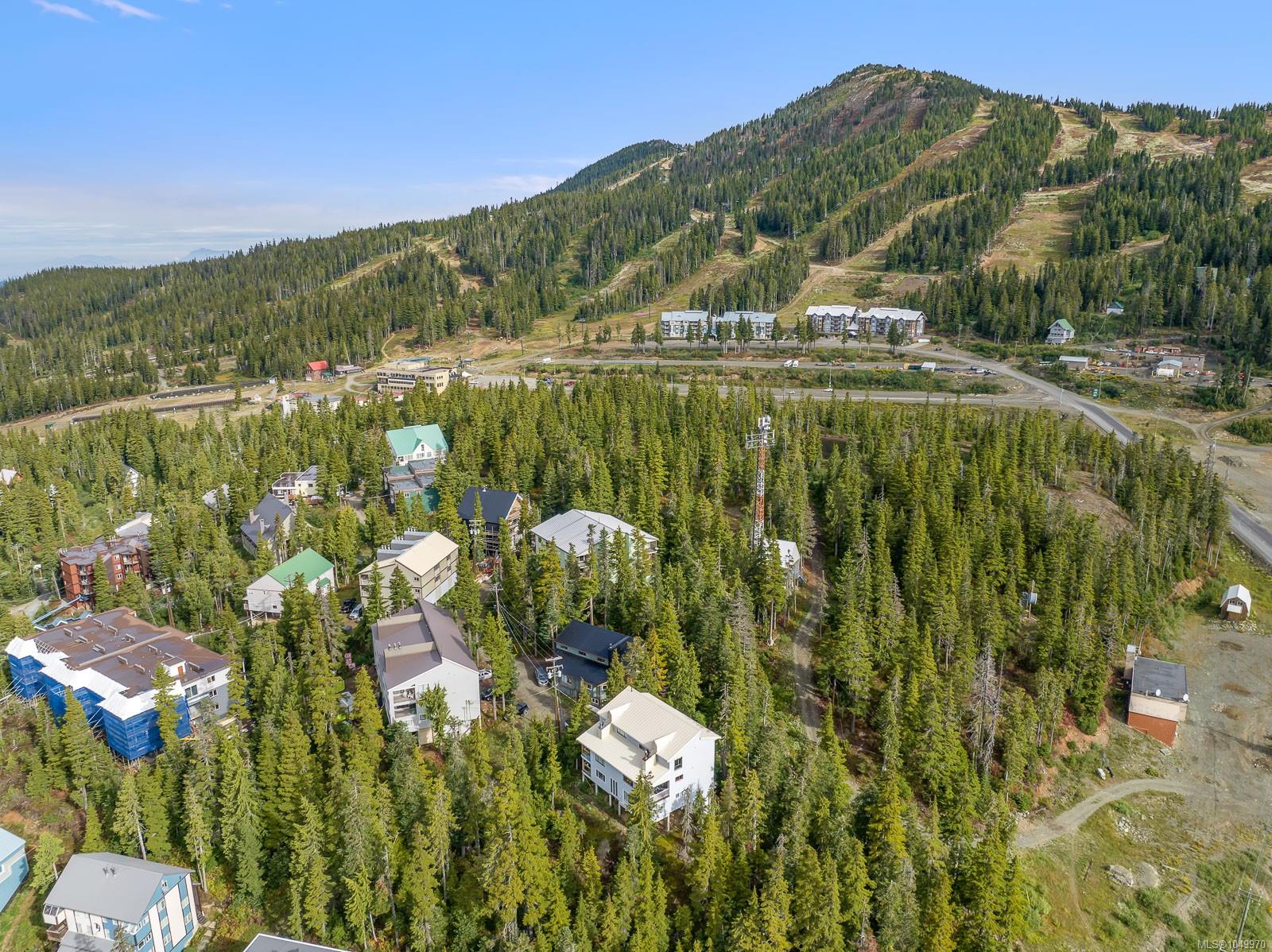 Photo 31