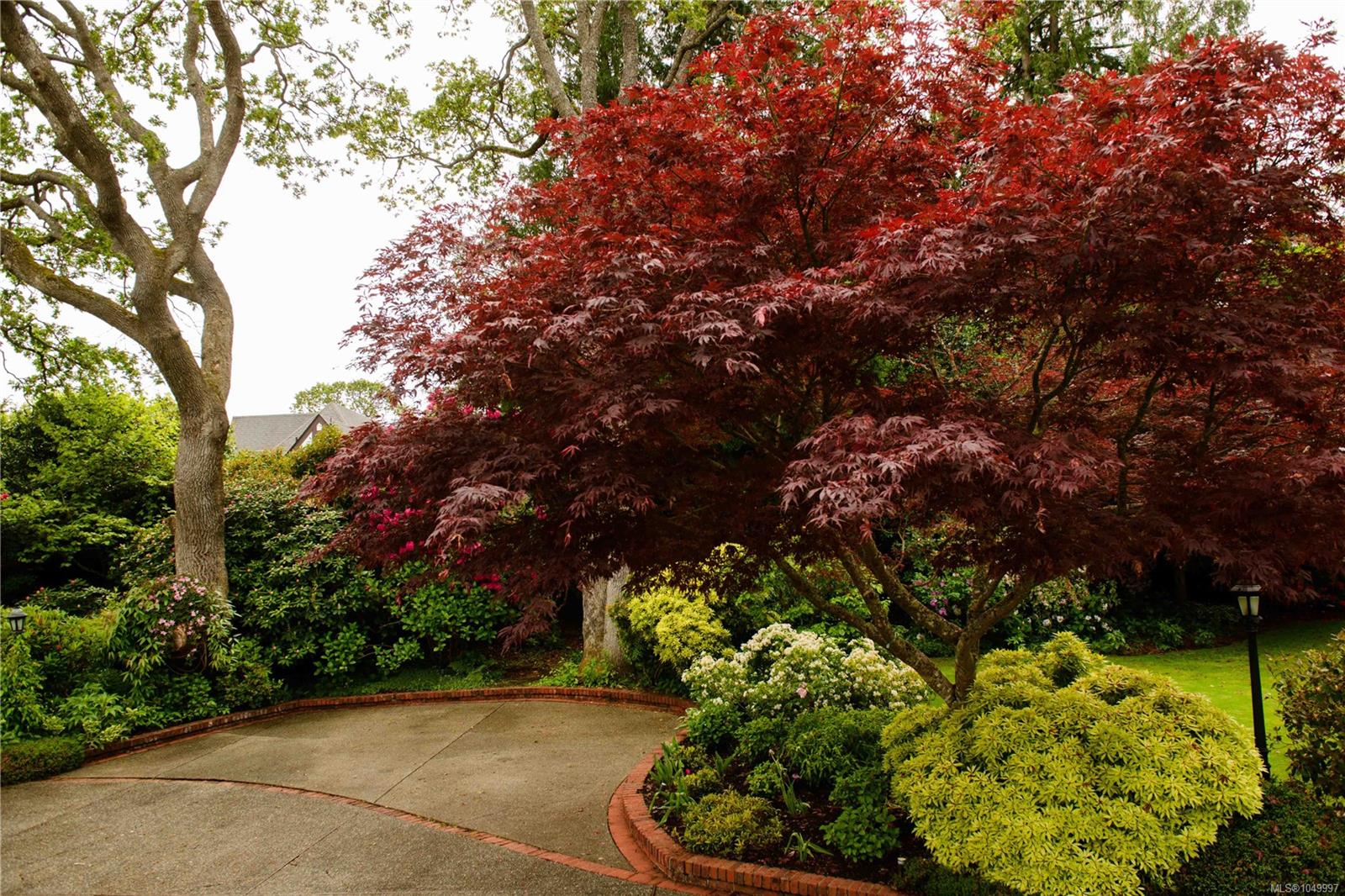 3475 Upper Terrace Rd — listing photo 12 of 77
