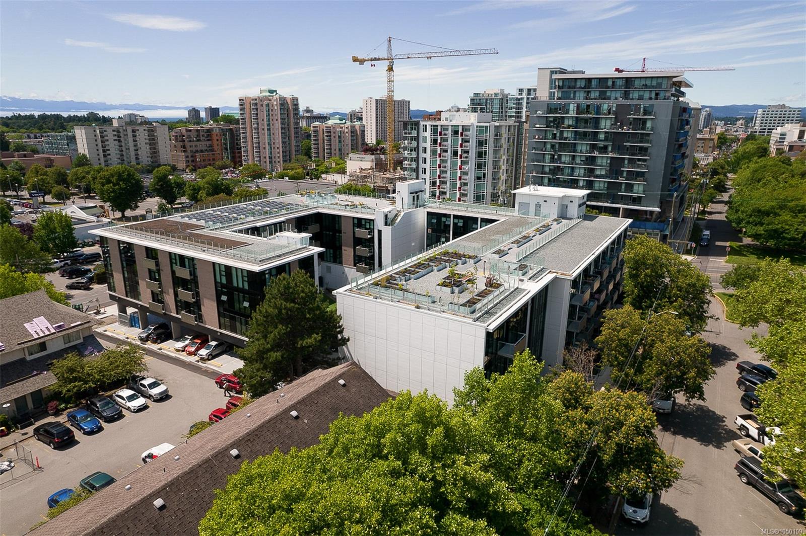 N414-1105 Pandora Ave — listing photo 3 of 53