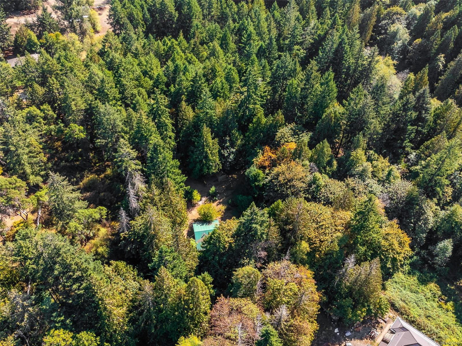 3175 Plumtree Rd — listing photo 6 of 35
