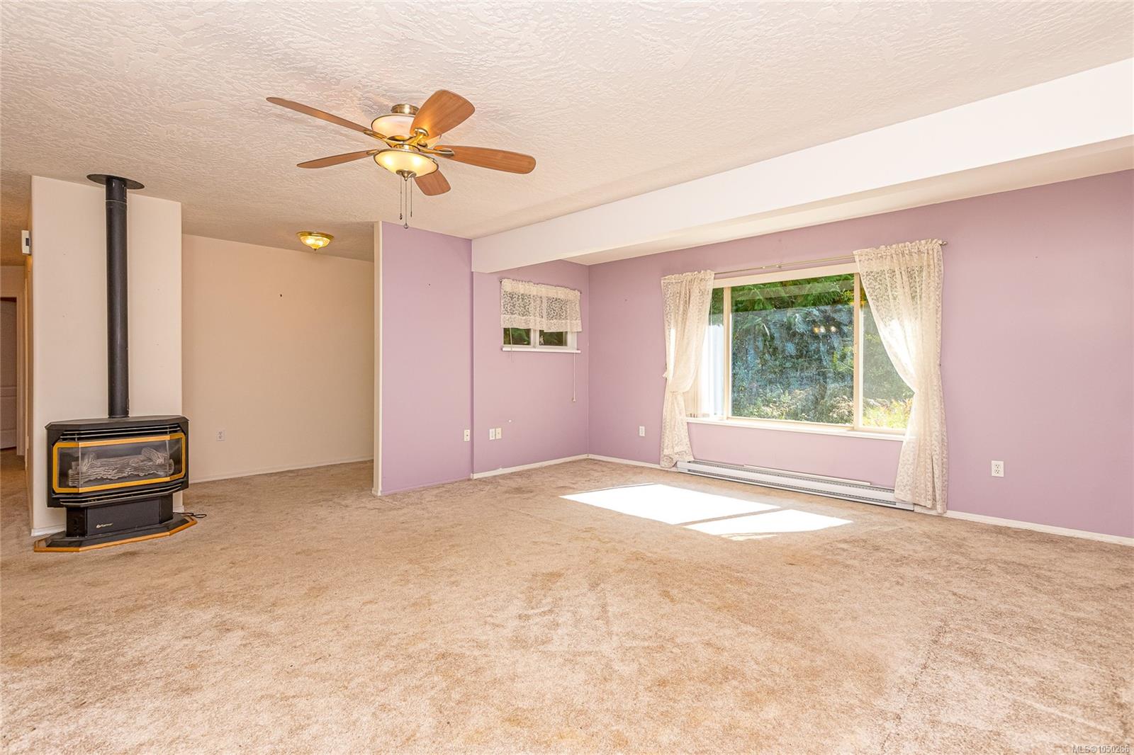 1205 Corcan Rd photo 5