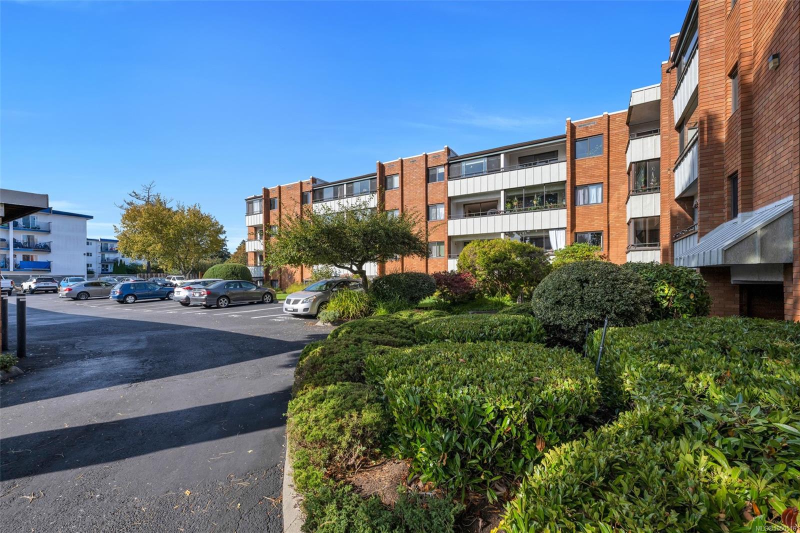 853 Selkirk Ave, Esquimalt