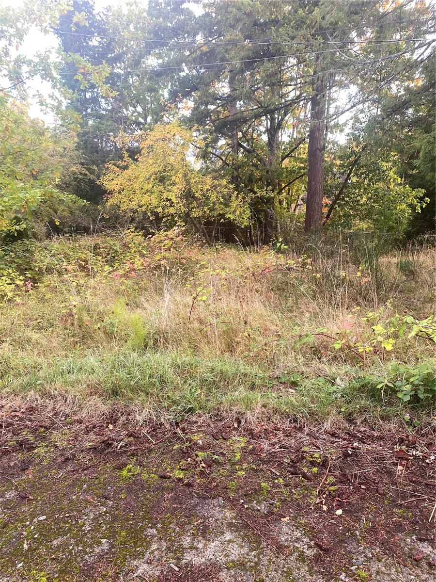 206 King Rd — listing photo 9 of 17
