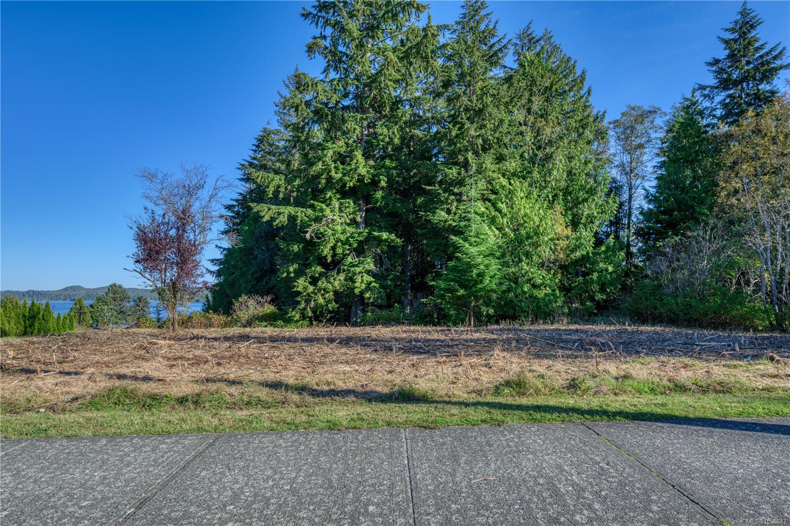 7195 Rupert St photo 6