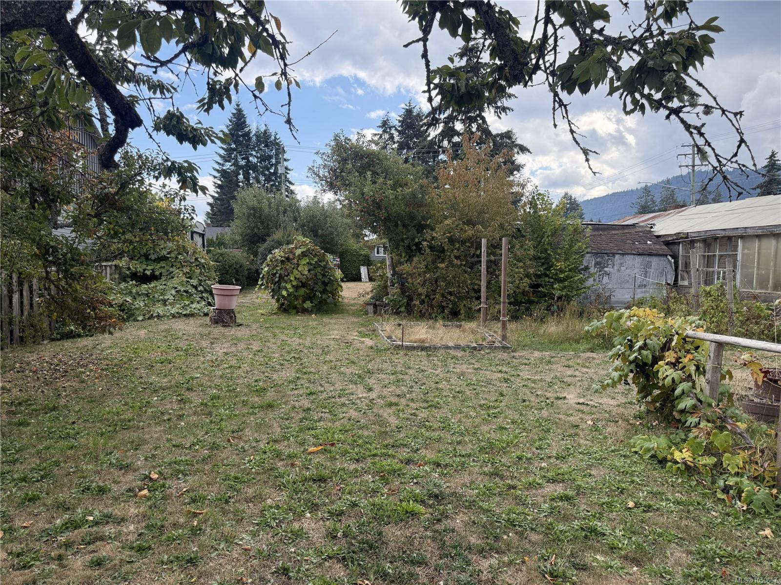 532 Buller St photo 4