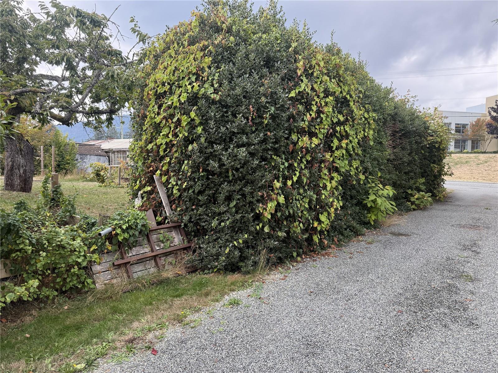 532 Buller St photo 6