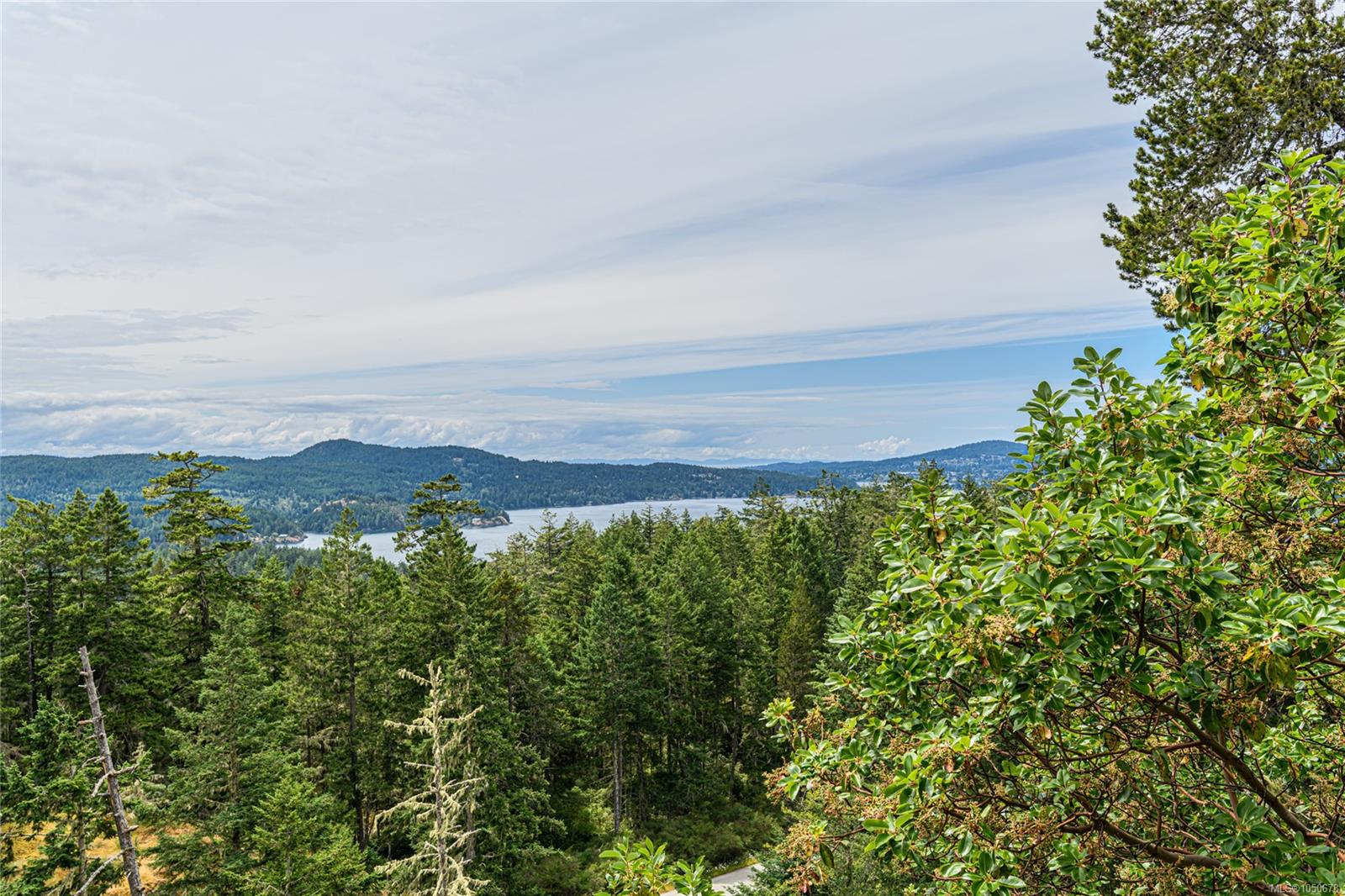 5000 Sooke Hanger Dr photo 3