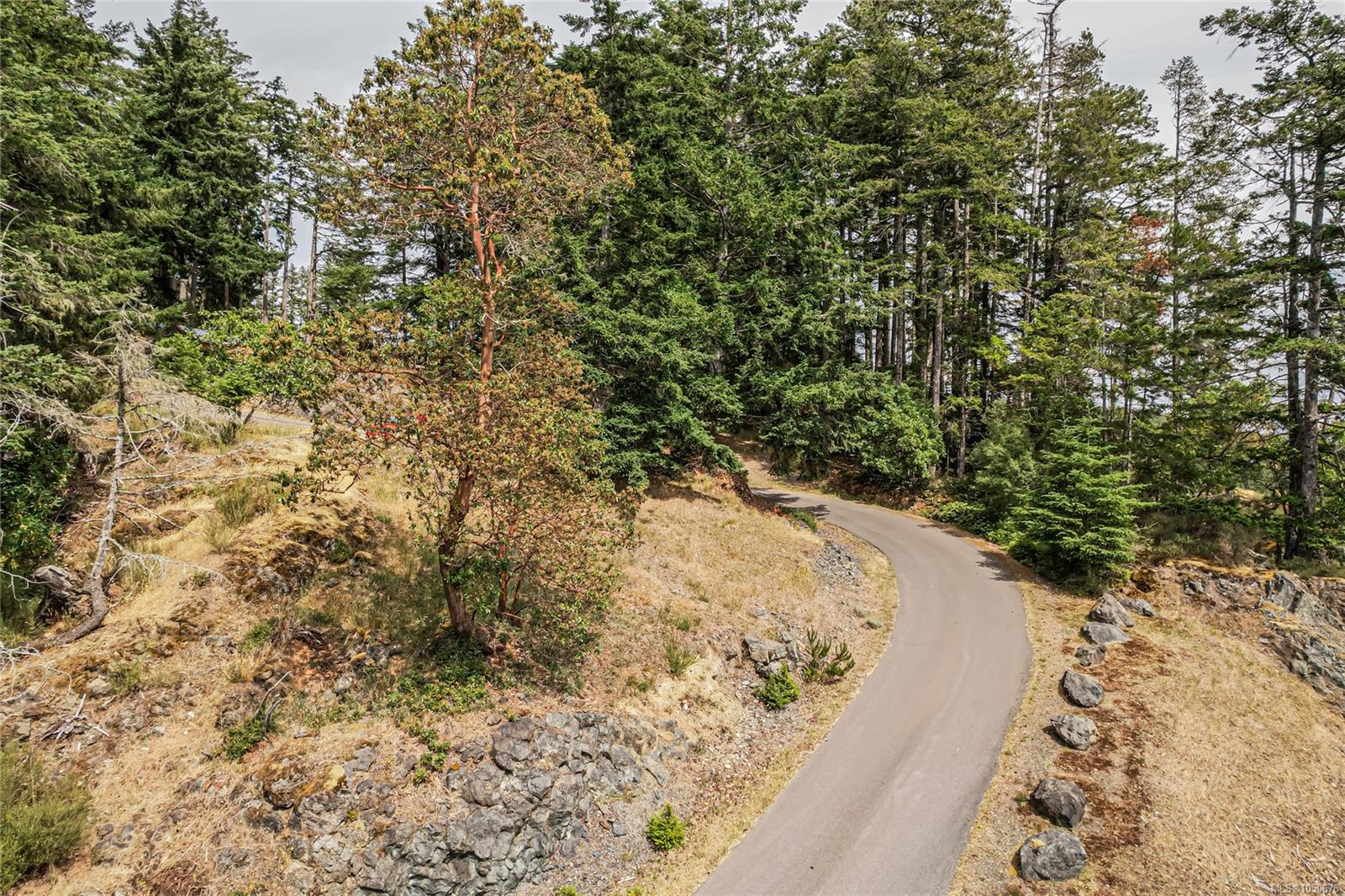 5000 Sooke Hanger Dr photo 7