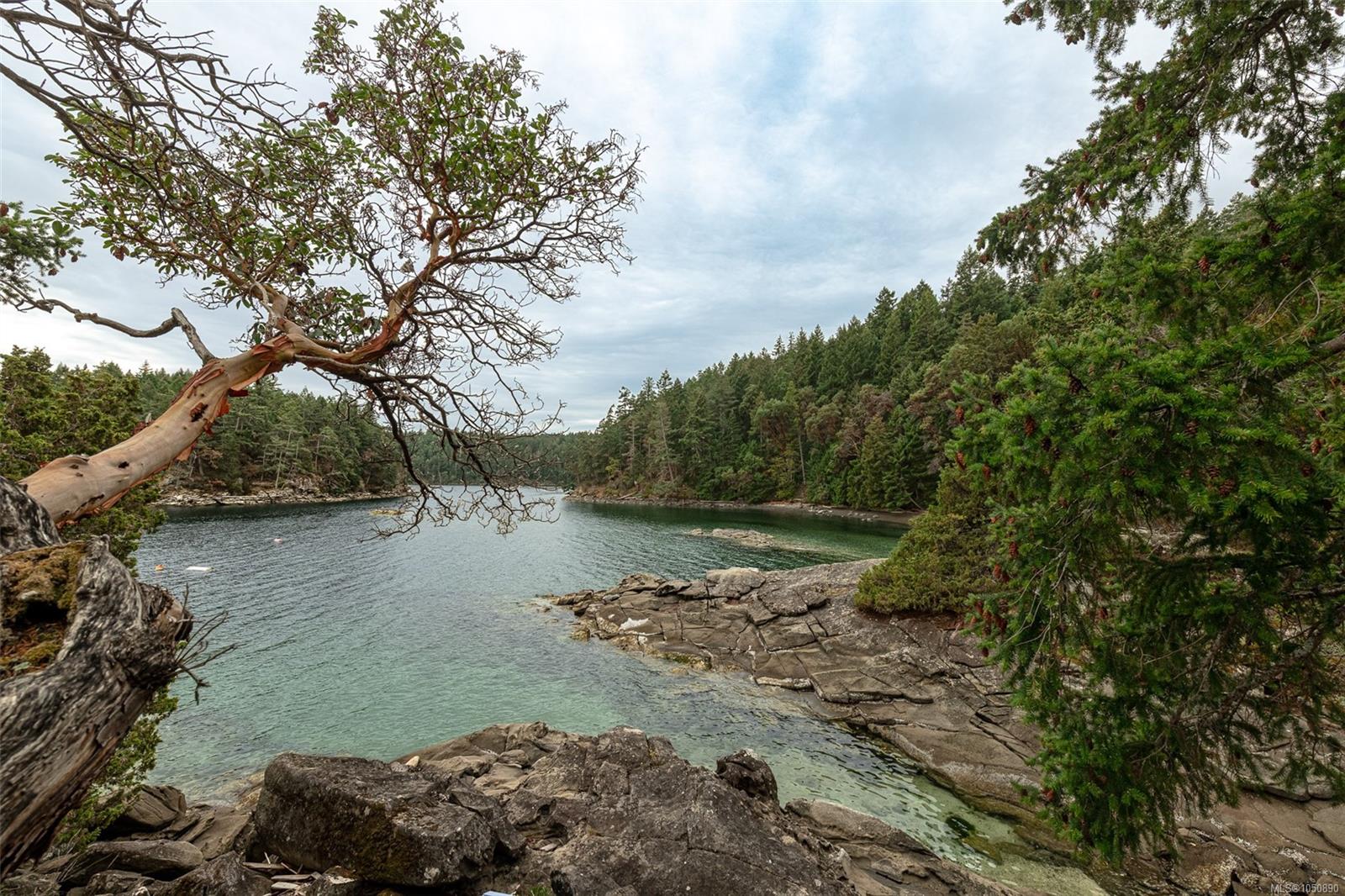 Lot 8 Ruxton Island, Ruxton Island