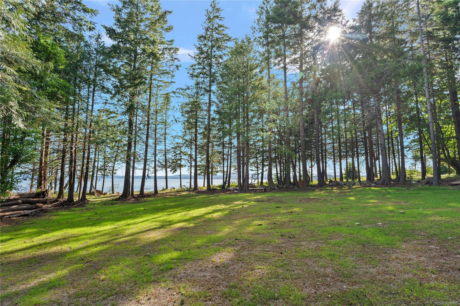 377 Evergreen Lane — listing photo 10 of 54