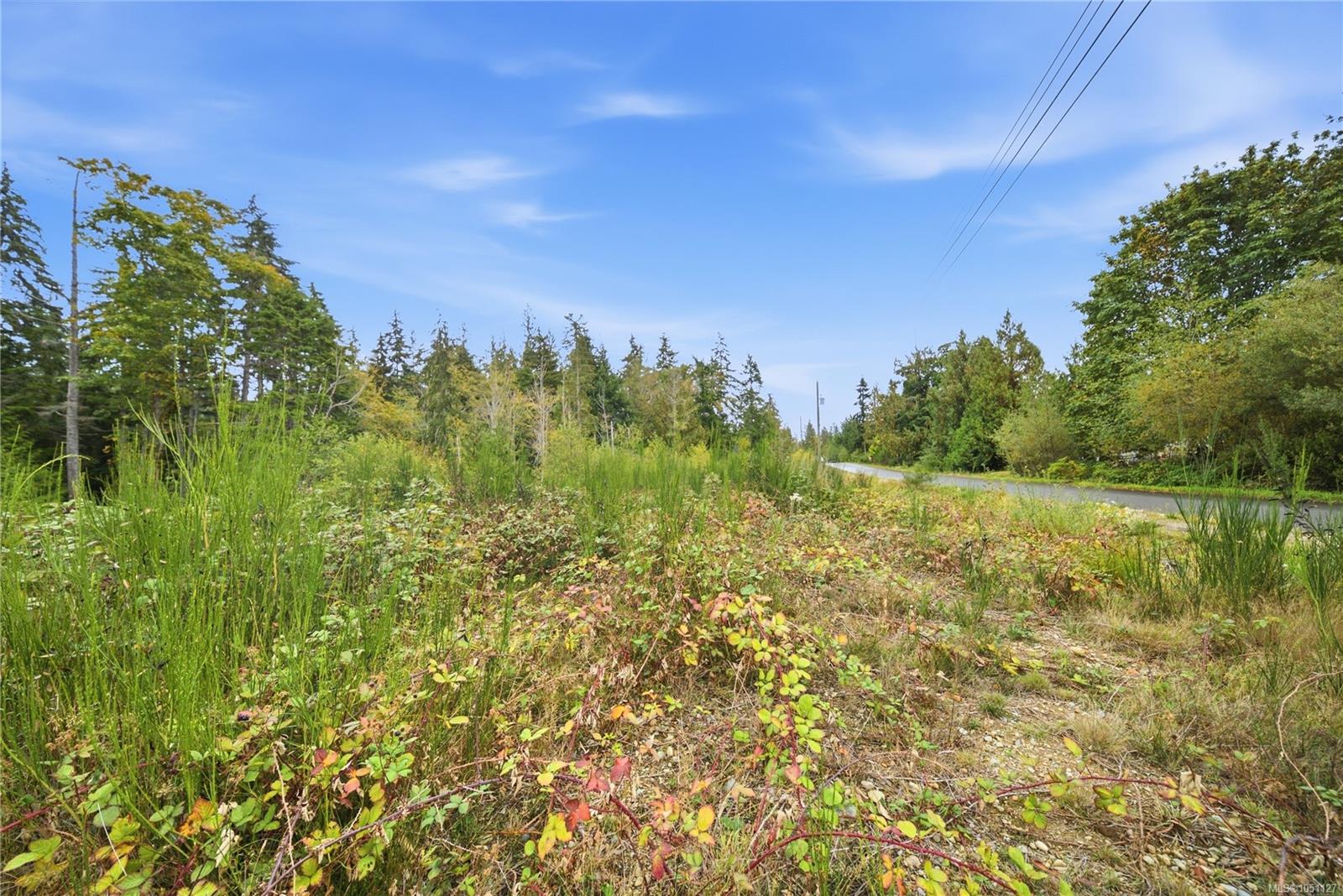 4 Salmond Rd — listing photo 12 of 17