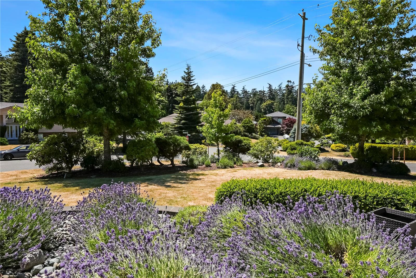 800 Alvarado Terr — listing photo 4 of 50