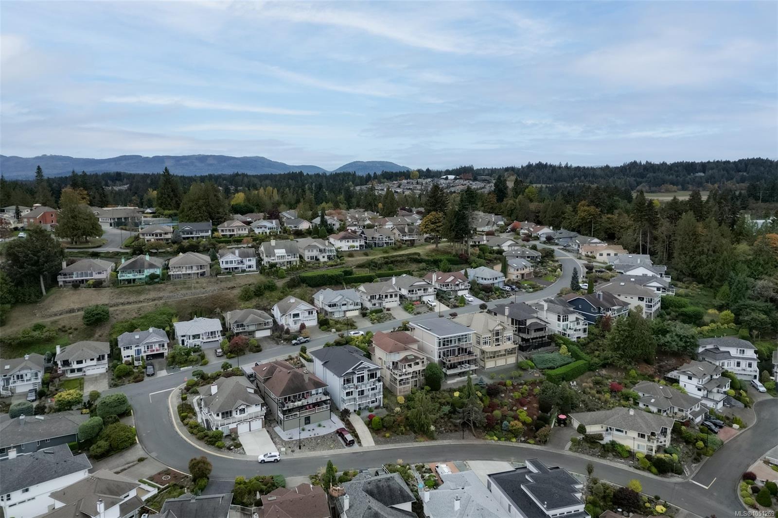 Photo 94