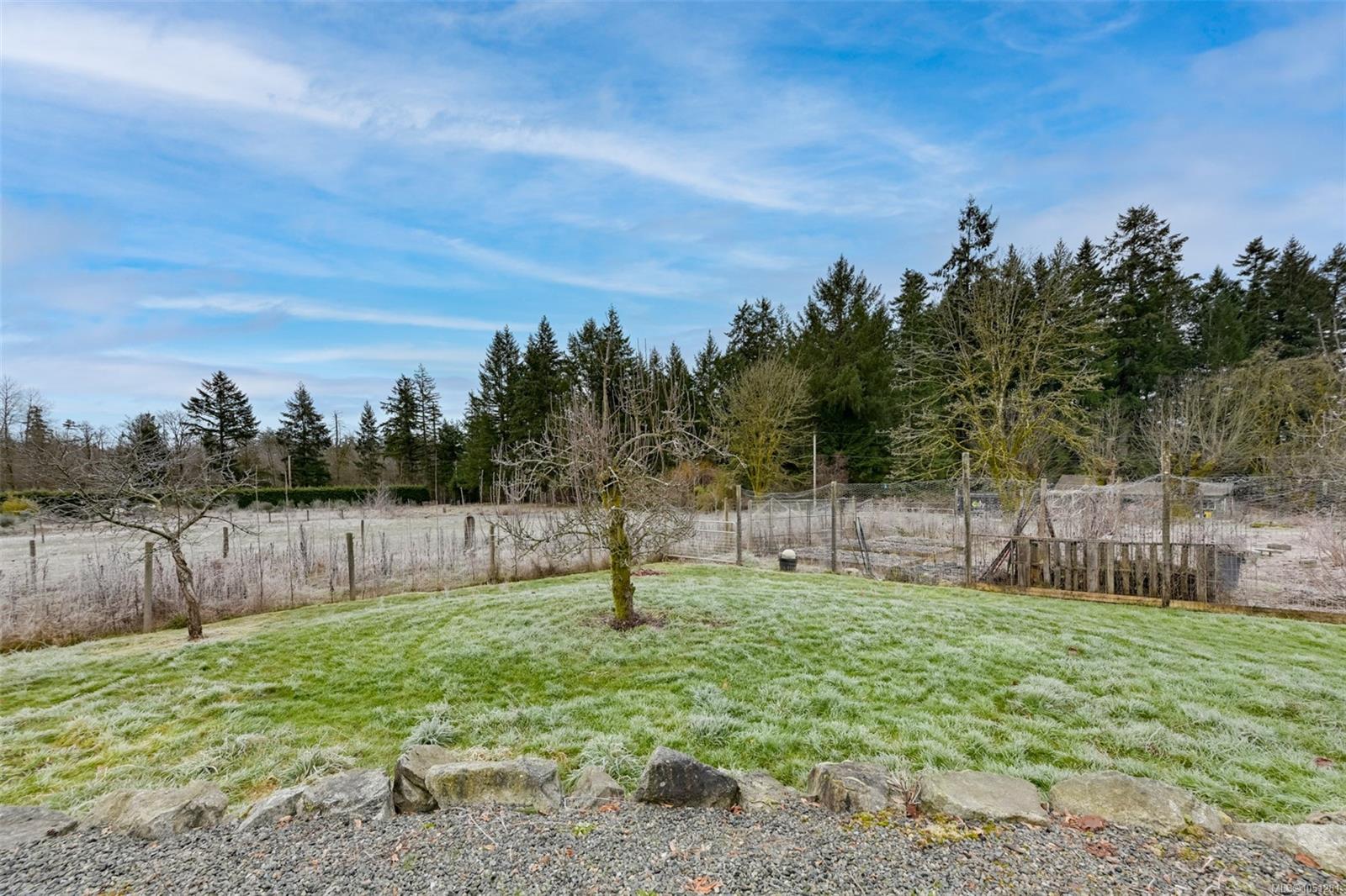 Photo 61