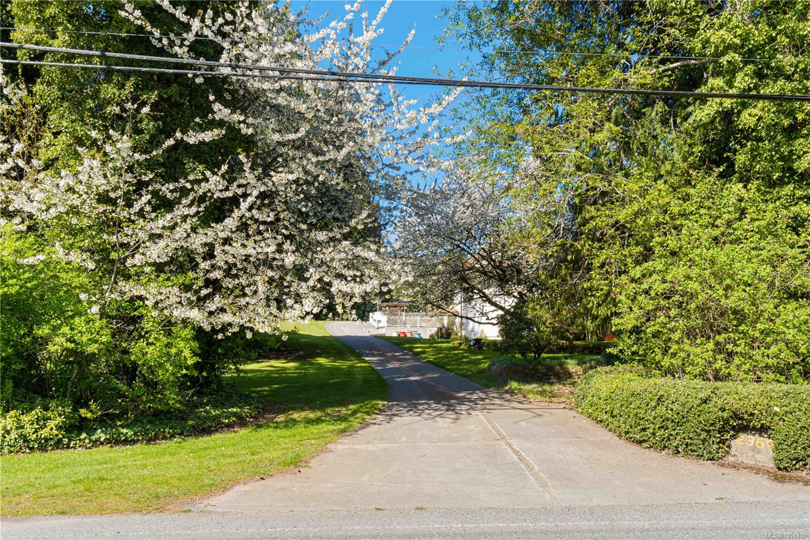 13 Hartman Ave photo 5