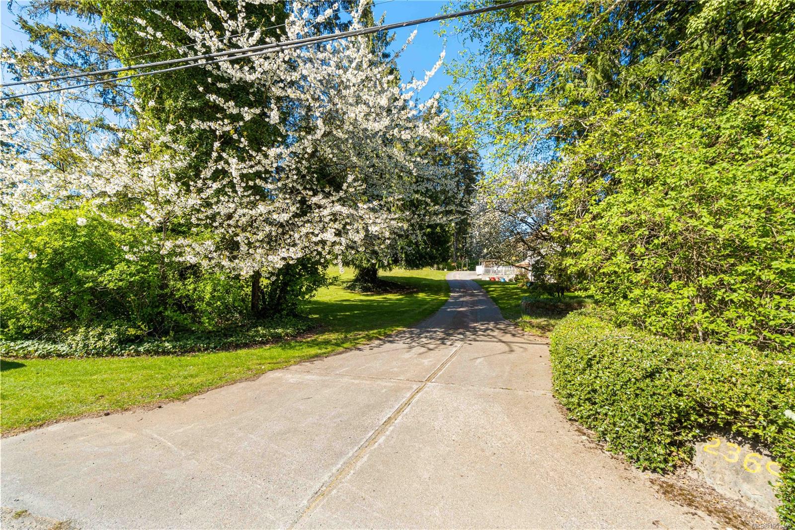 13 Hartman Ave photo 6
