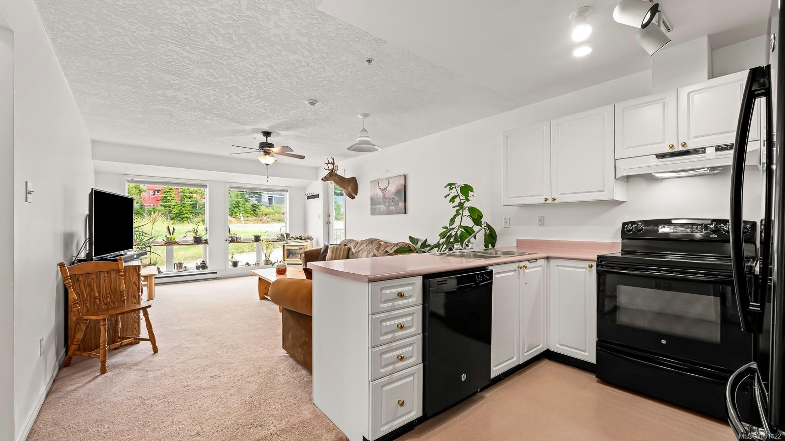 502-1201 Henry Rd — listing photo 5 of 45