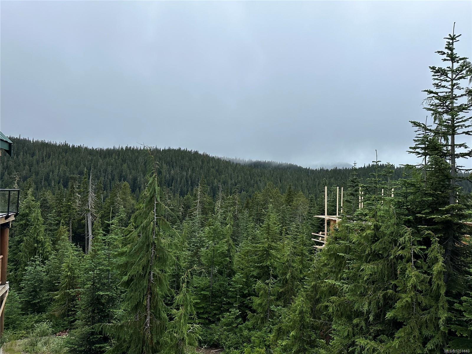 625 ARROWSMITH Ridge — listing photo 4 of 20
