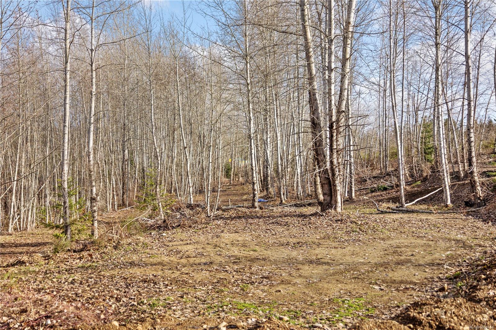 2745 Shaver Rd — listing photo 12 of 27