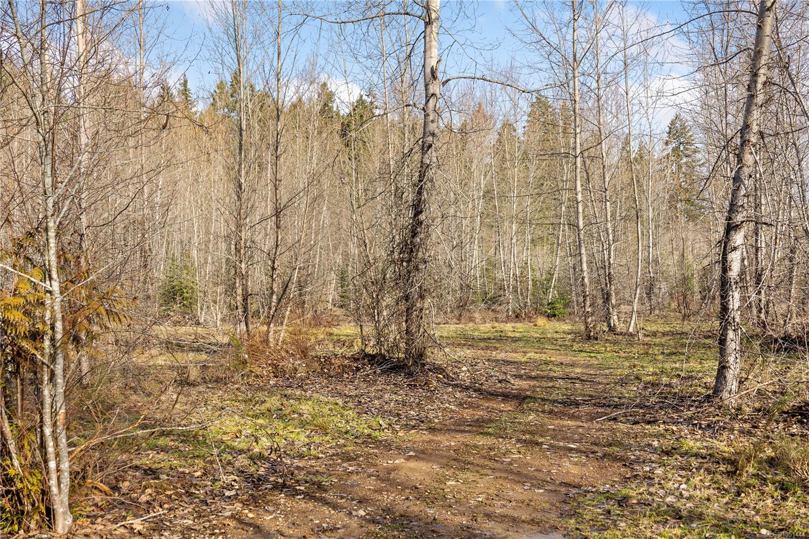 2745 Shaver Rd — listing photo 14 of 27