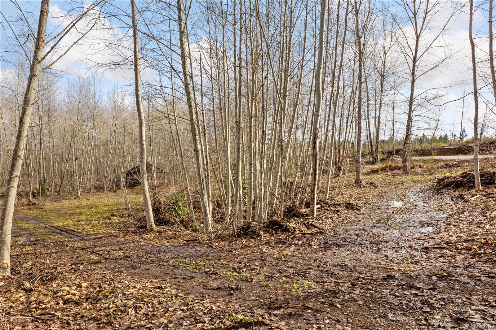 2745 Shaver Rd photo 7
