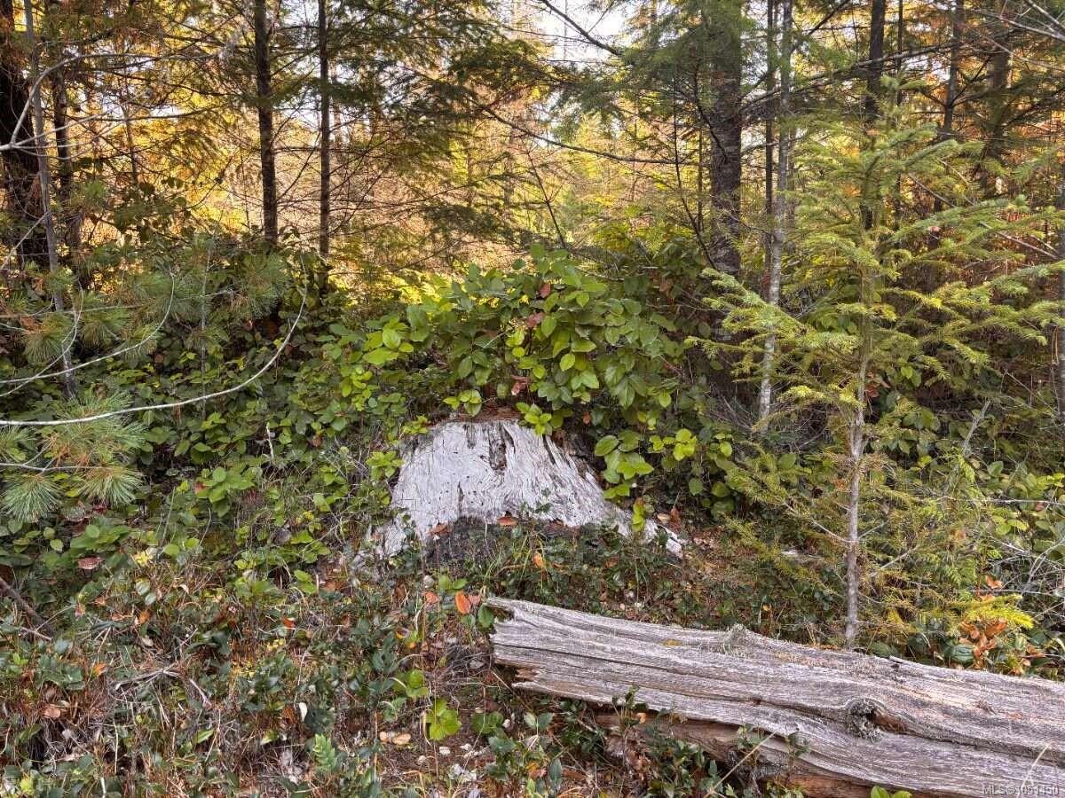 Lot B-6876 Danes Rd — listing photo 11 of 24