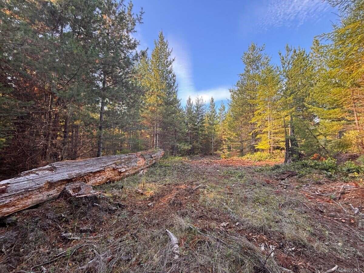 Lot B-6876 Danes Rd — listing photo 12 of 24