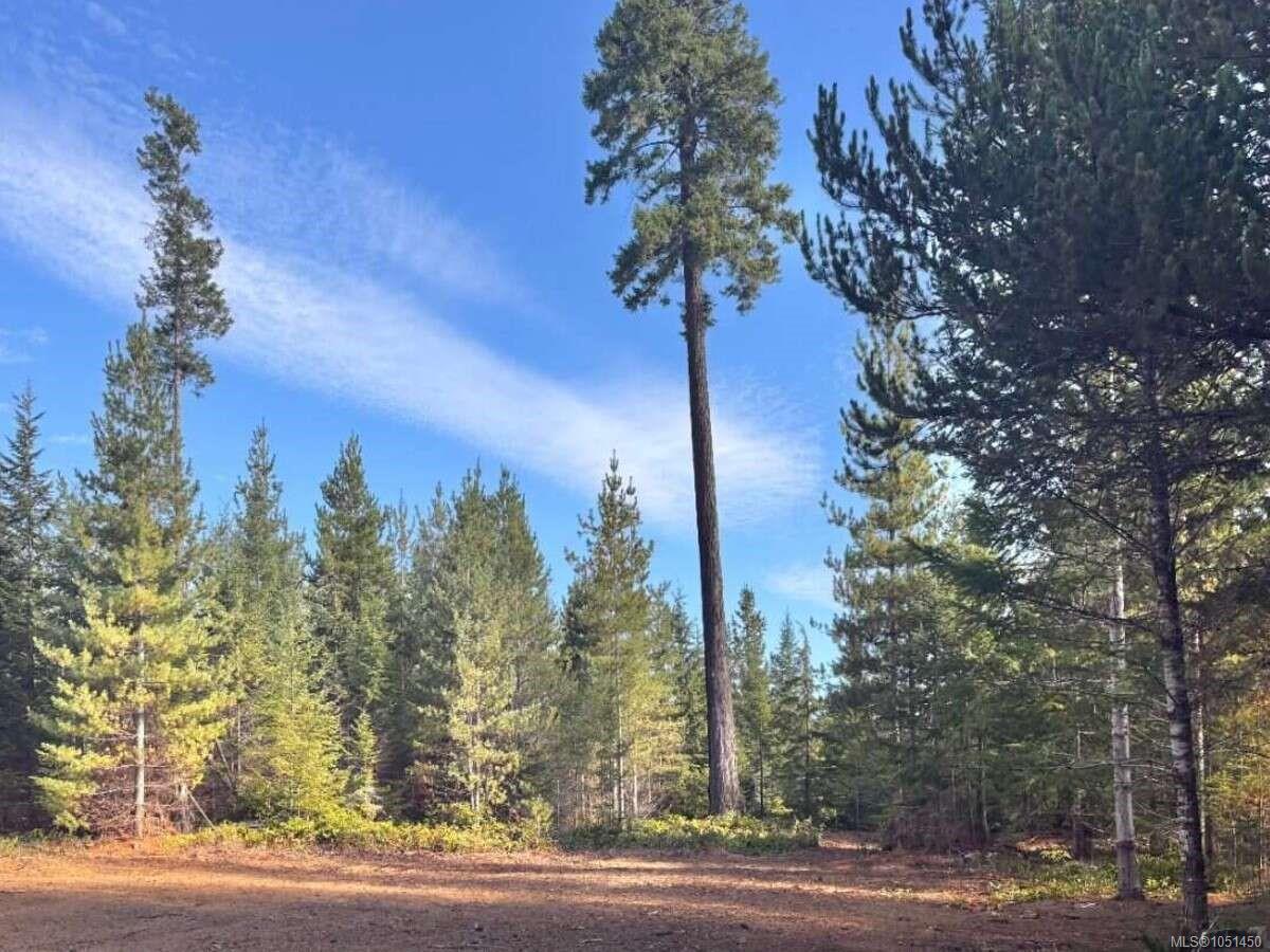 Lot B-6876 Danes Rd — listing photo 5 of 24