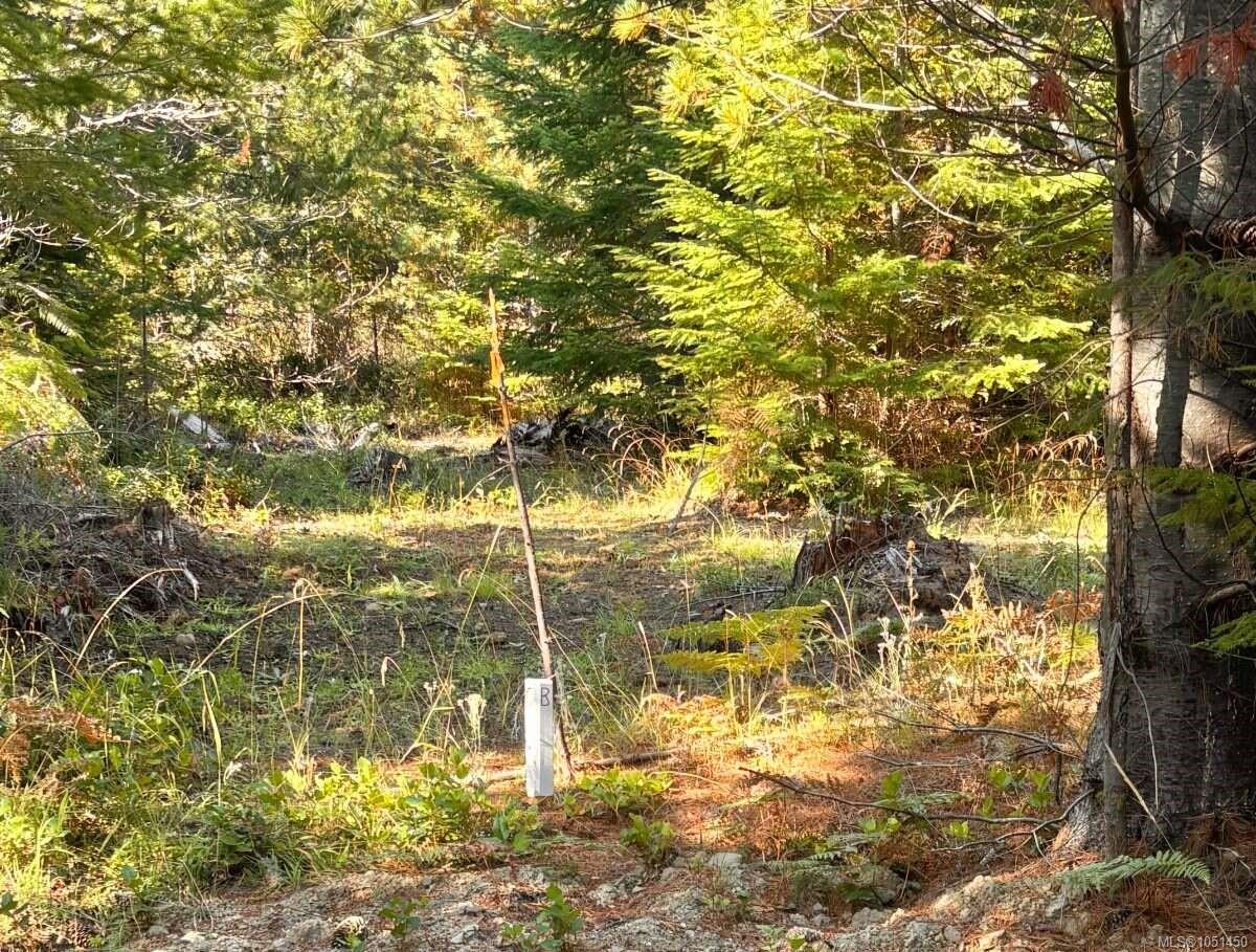 Lot B-6876 Danes Rd — listing photo 6 of 24