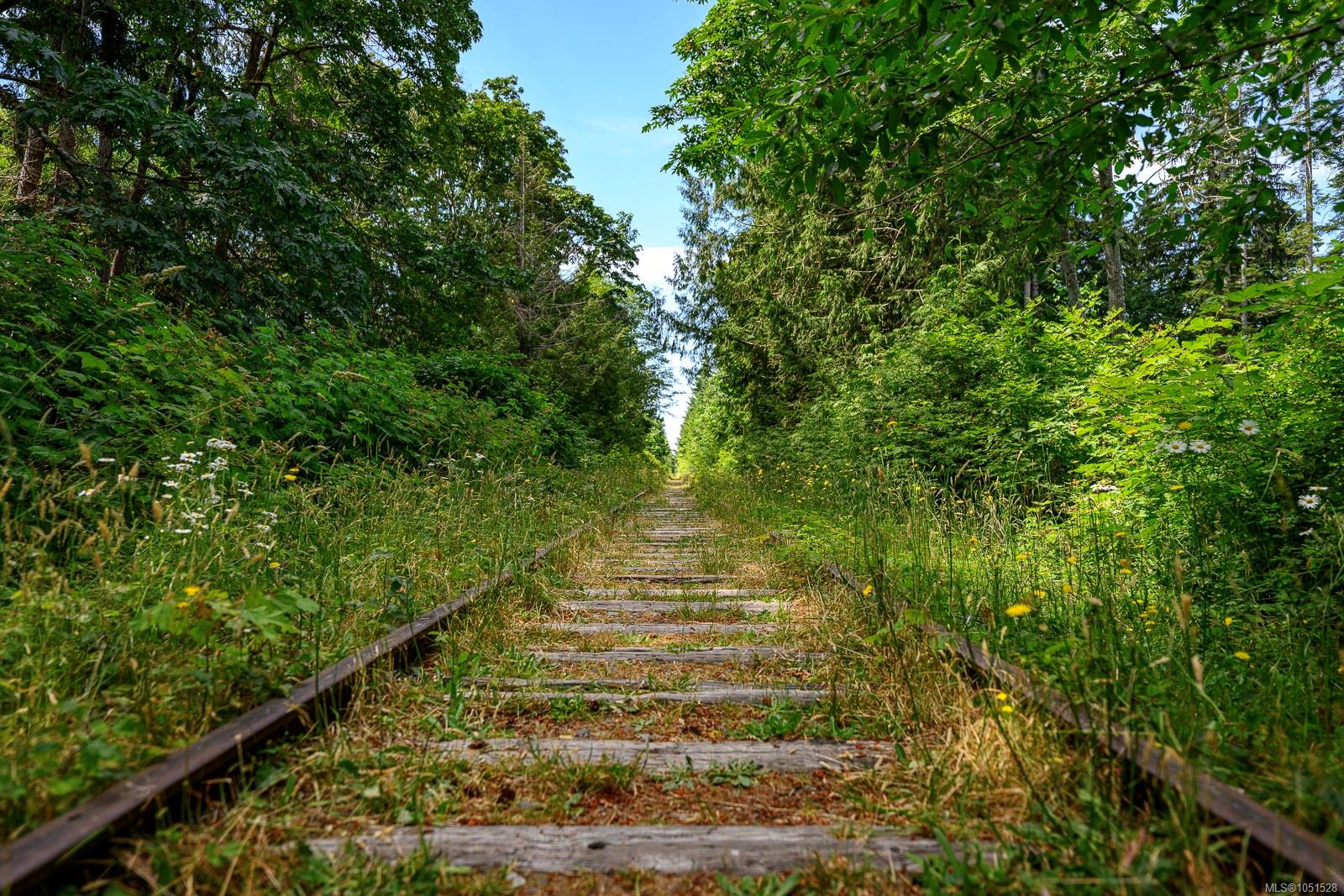 Photo 50